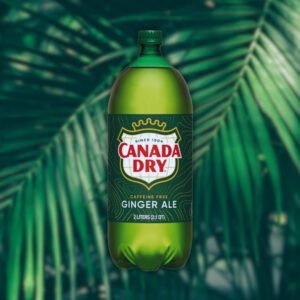 Canada Dry Ginger Ale 2L 2.1 QT