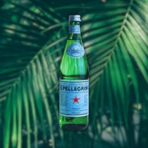 S. Pellegrino Sparkling Water 500ml 16.9 fl oz